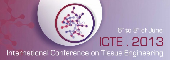 icte2013.jpg